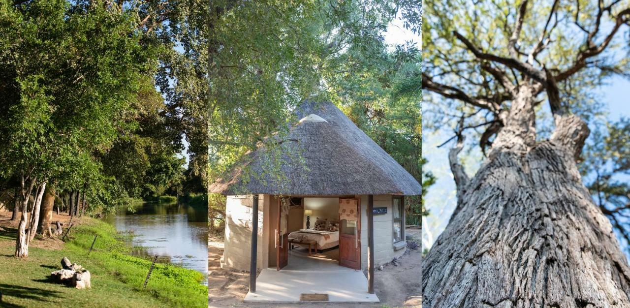 Malilule Safaris Villa Hoedspruit Bagian luar foto